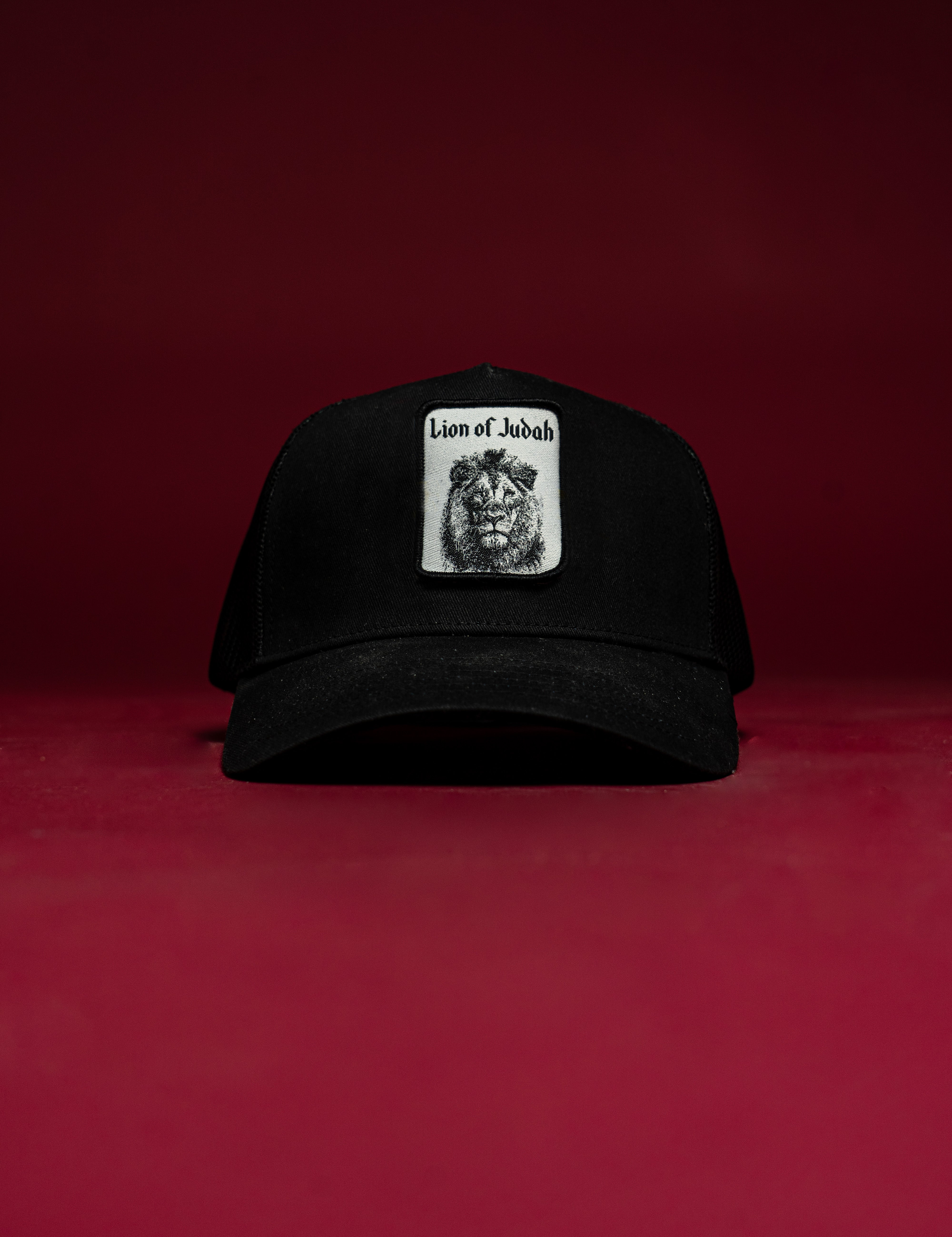 Lion-Hat.jpg